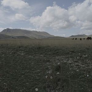 Bilder Anton Corbijn Inside Out