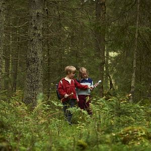Bilder Knerten traut sich