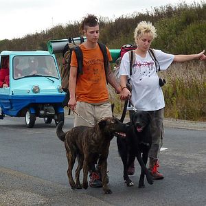 Bilder Holidays by the Sea