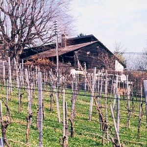 Bilder Hans Schmidt: Architekt