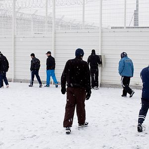 Bilder A l'ombre de la république