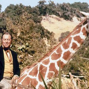 Bilder Doktor Dolittle