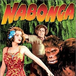 Bilder Die Rache des Gorilla