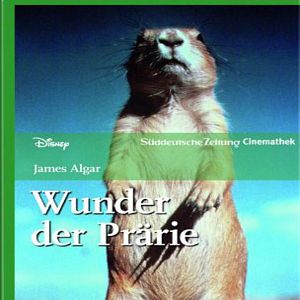 Bilder Wunder der Prärie