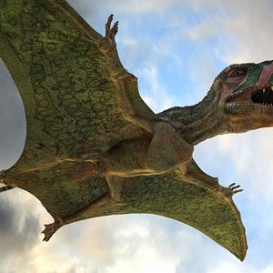 Bilder Flying Monsters 3D with David Attenborough