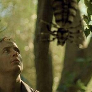 Bilder Herrscher der versunkenen Welt