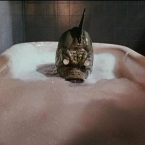 Bilder Samstag der 14. - Eine irre Höllenparty