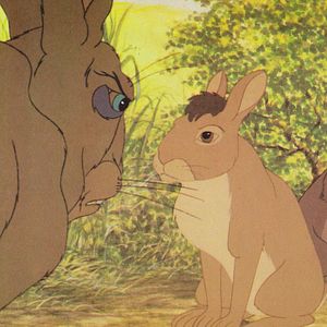Bilder Watership Down - Unten am Fluß