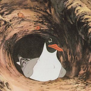 Bilder Watership Down - Unten am Fluß