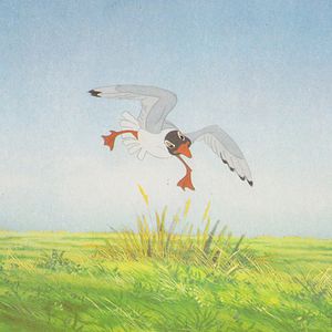 Bilder Watership Down - Unten am Fluß