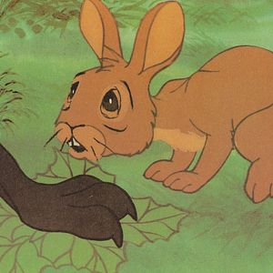 Bilder Watership Down - Unten am Fluß