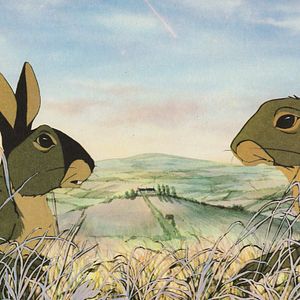 Bilder Watership Down - Unten am Fluß