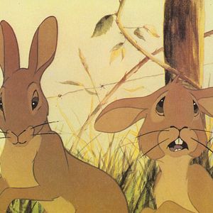 Bilder Watership Down - Unten am Fluß