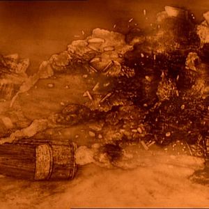 Bilder Wenn der Wind weht