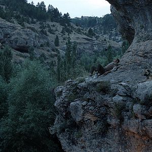 Bilder Tepenin Ardı - Beyond the Hill
