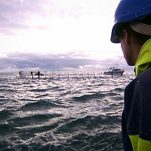 Bilder Sushi - The Global Catch