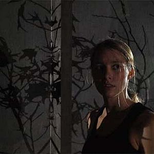 Bilder Sacred - Die Prophezeiung