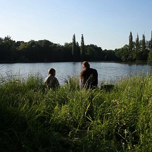 Bilder Auf leisen Pfoten