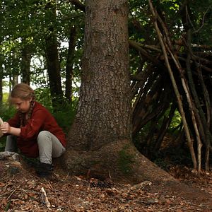 Bilder Auf leisen Pfoten