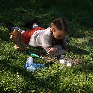 Bilder Auf leisen Pfoten