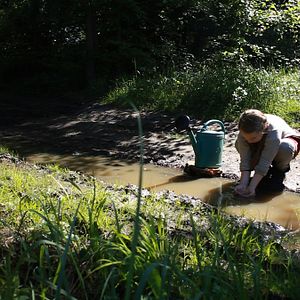Bilder Auf leisen Pfoten