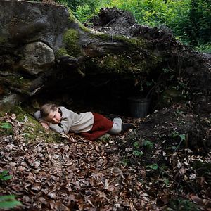 Bilder Auf leisen Pfoten