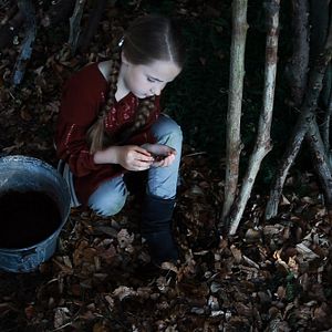 Bilder Auf leisen Pfoten