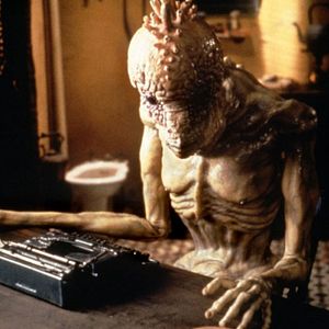 Bilder Naked Lunch – Nackter Rausch