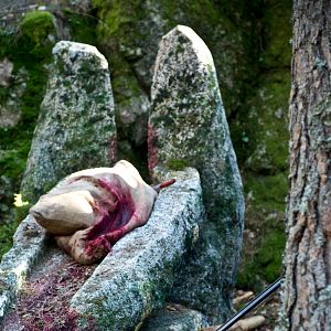 Bilder Luna, el misterio de Calenda