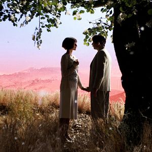 Bilder Huhn mit Pflaumen