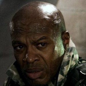 Bilder Gary McDonald