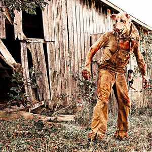 Bilder Madison County