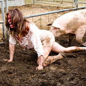 Bilder Madison County