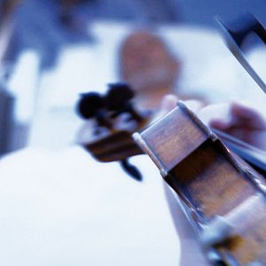 Bilder Violinissimo