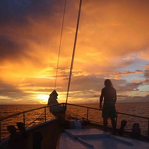 Bilder Caught Inside