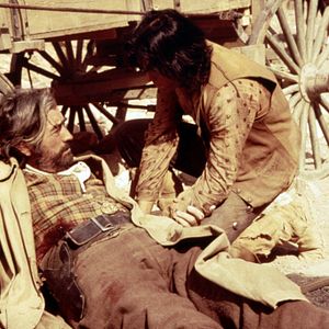 Bilder Begrabt die Wölfe in der Schlucht