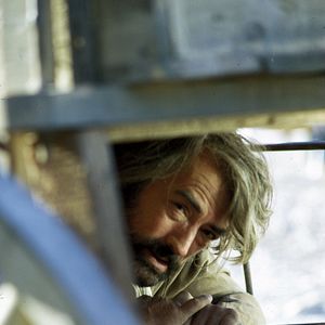 Bilder Begrabt die Wölfe in der Schlucht