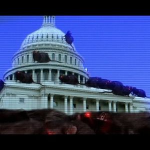 Bilder Rat Scratch Fever