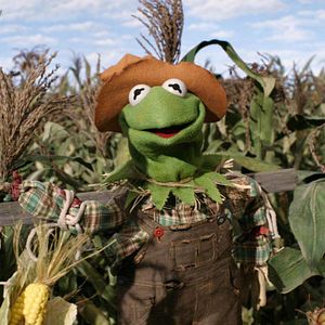 Bilder Muppets: Der Zauberer von Oz