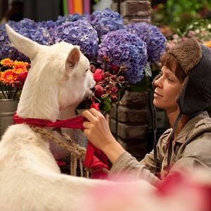 Bilder Heiter bis wolkig