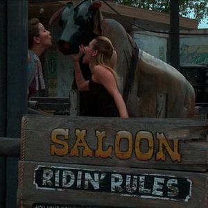 Bilder No Body Found