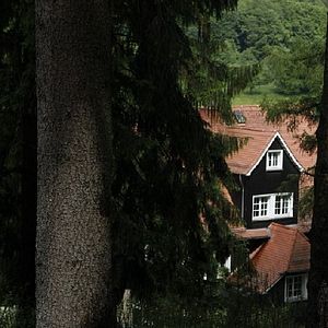 Bilder Und wir sind nicht die Einzigen