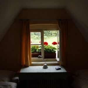 Bilder Und wir sind nicht die Einzigen