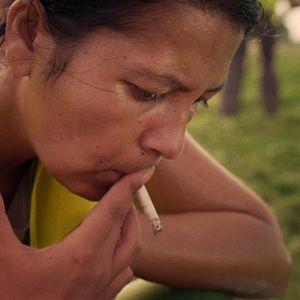 Bilder Katalin Toldi