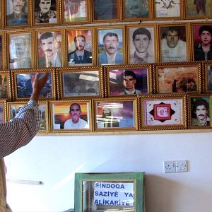 Bilder I Flew, You Stayed