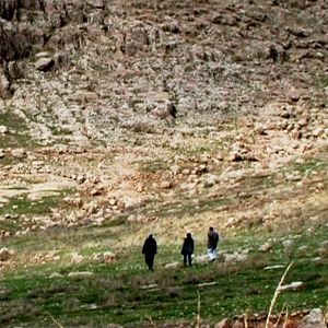 Bilder I Flew, You Stayed