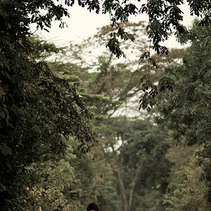 Bilder Rachel Mwanza