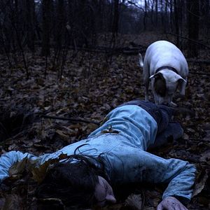 Bilder Sex Killer - Lust. Mord. Wahnsinn.