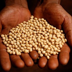 Bilder Raising Resistance