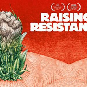 Bilder Raising Resistance